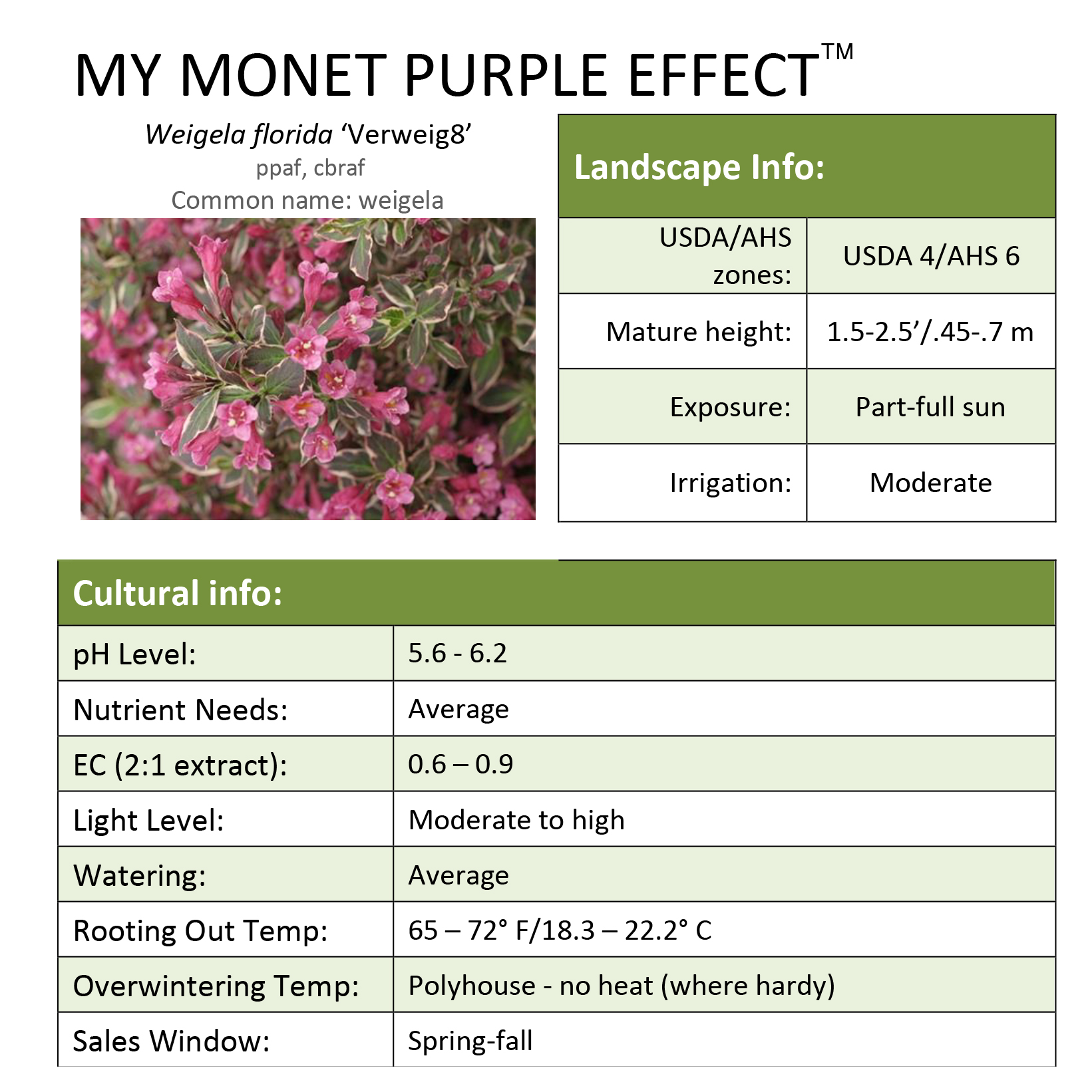 Preview of My Monet Purple Effect® Weigela Grower Sheet PDF