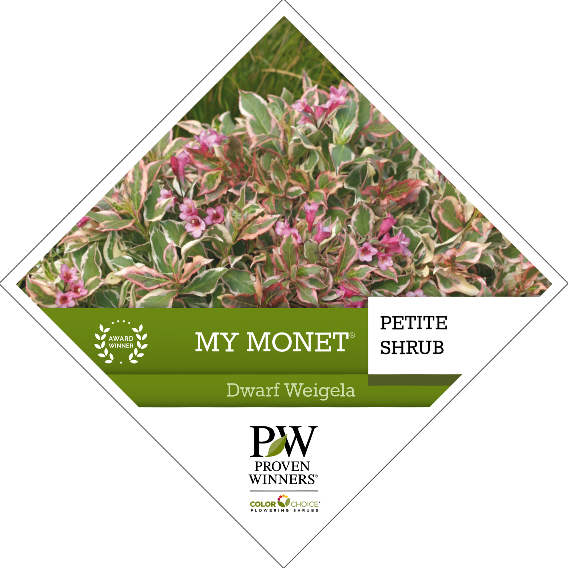 Preview of My Monet® Weigela Tag PDF