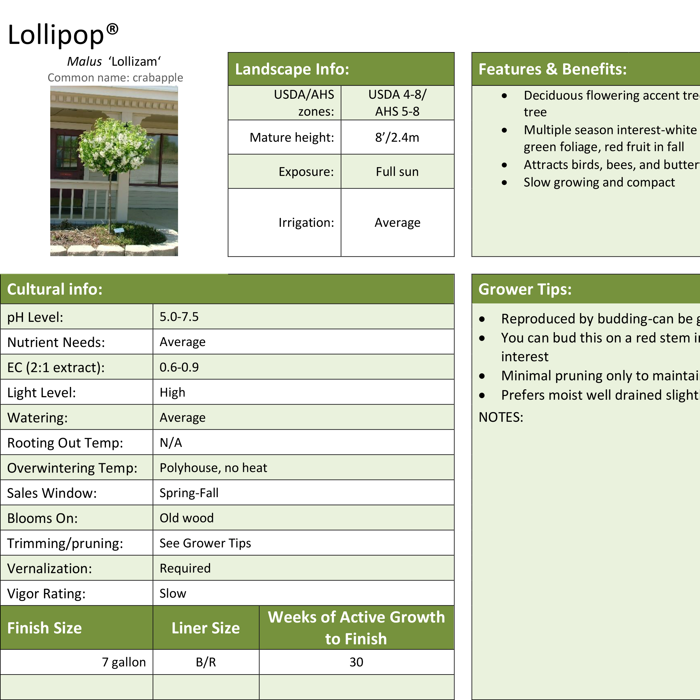 Preview of Lollipop Malus Professional Grower Sheet PDF