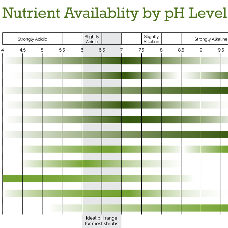 Preview of Nutrient Availability by pH Level PDF