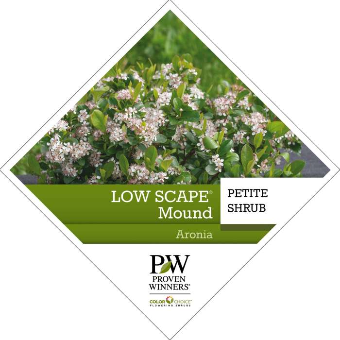 Preview of Low Scape Mound® Aronia tag PDF