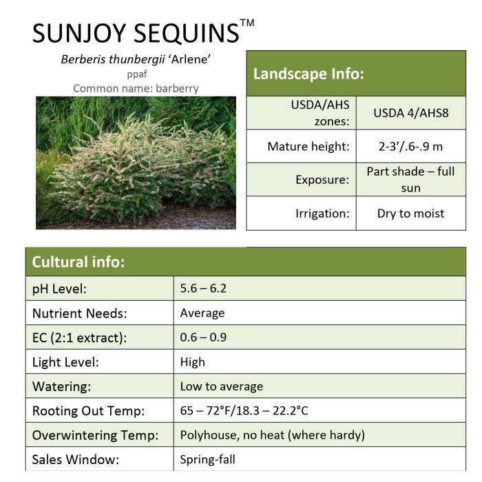 Preview of Sunjoy Sequins® Berberis Grower Sheet PDF