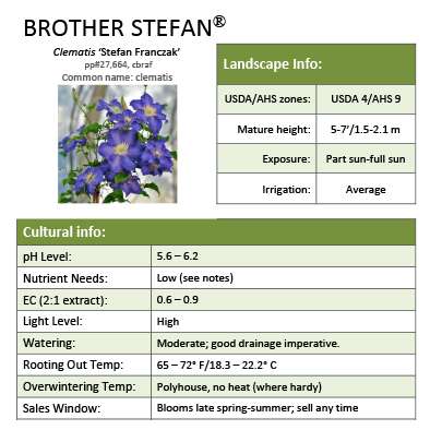 Preview of Brother Stefan® Clematis PDF