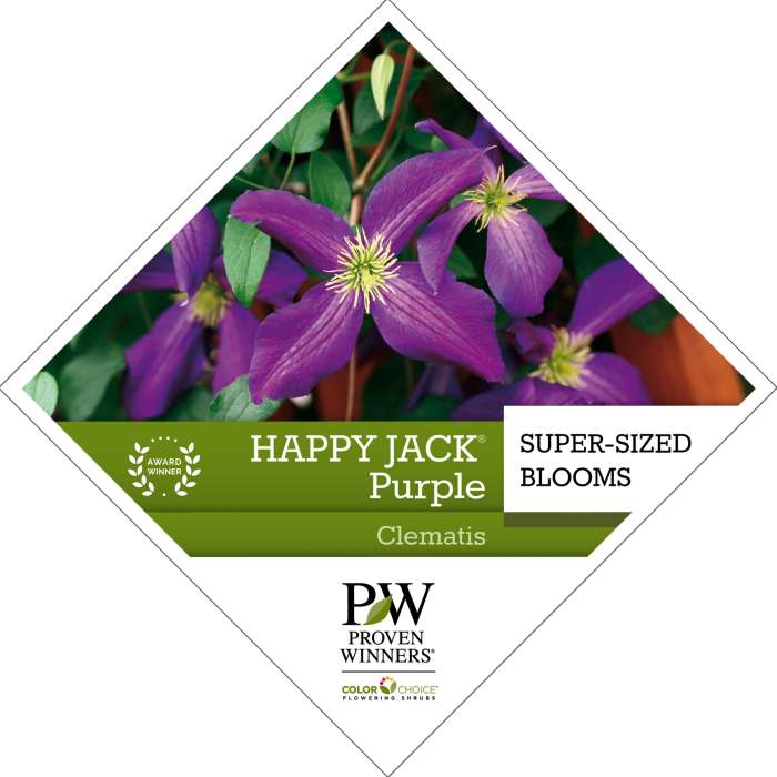 Preview of Happy Jack® Purple Clematis PDF