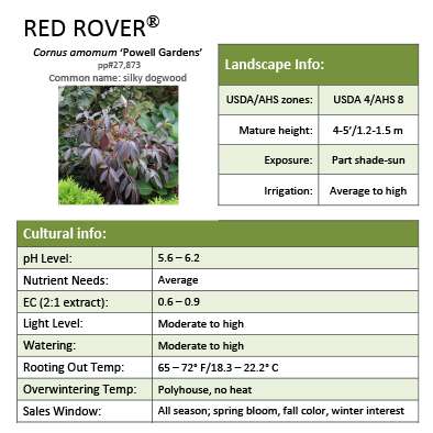 Preview of Red Rover® Cornus PDF