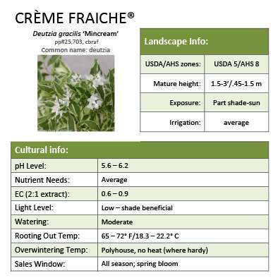 Preview of Crème Fraiche® Deutzia PDF