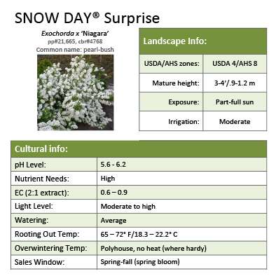 Preview of Snow Day® Surprise Exochorda Grower Sheet PDF