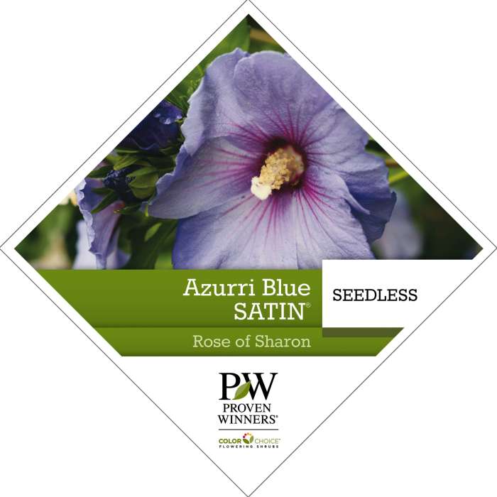 Preview of Azurri Blue Satin® Hibiscus PDF