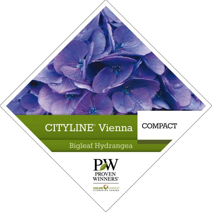 Preview of Cityline® Vienna Hydrangea Tag PDF