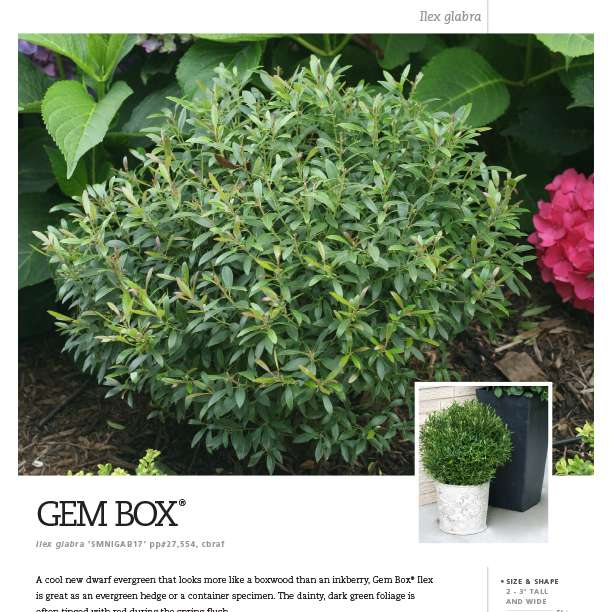 Preview of Gem Box® Ilex Spec Sheet PDF