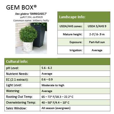 Preview of Gem Box® Ilex Grower Sheet PDF