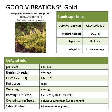 Preview of Good Vibrations® Gold Juniperus Grower Sheet PDF