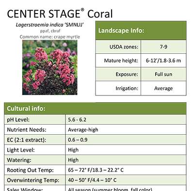 Preview of Center Stage™ Coral Lagerstroemia Grower Sheet PDF