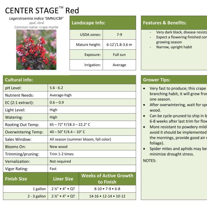 Preview of Center Stage™ Red Lagerstroemia Professional Grower Sheet PDF