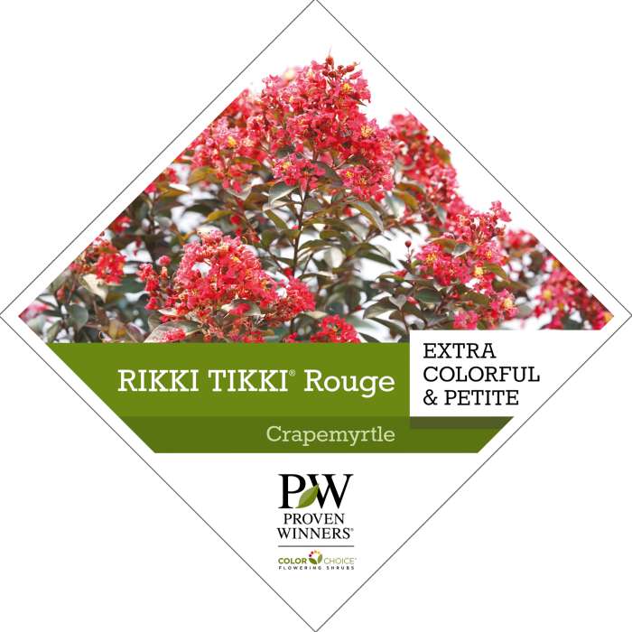 Preview of Rikki Tikki® Rouge Lagerstroemia Tag PDF