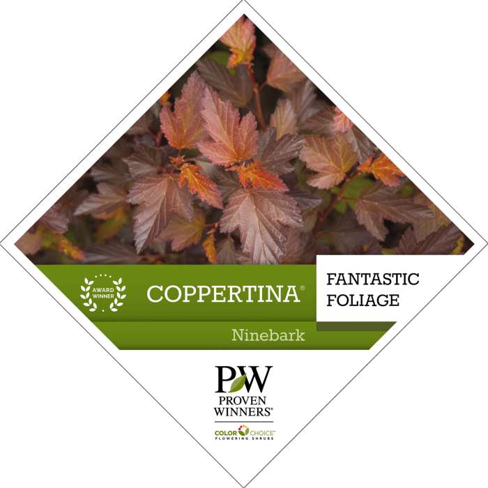 Preview of Coppertina® Physocarpus Tag PDF