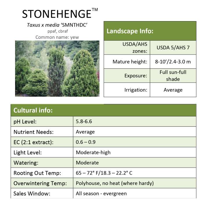 Preview of Stonehenge® Taxus Grower Sheet PDF