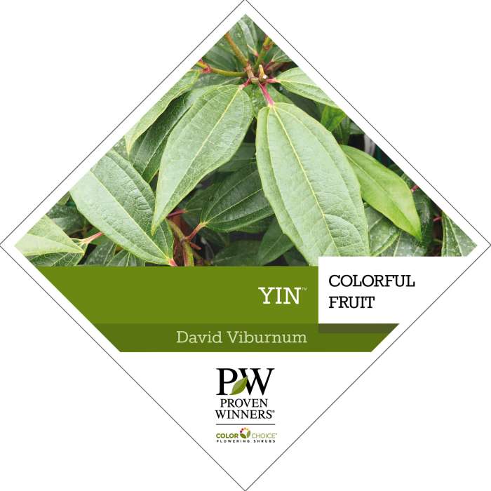 Preview of Yin® Viburnum tag PDF