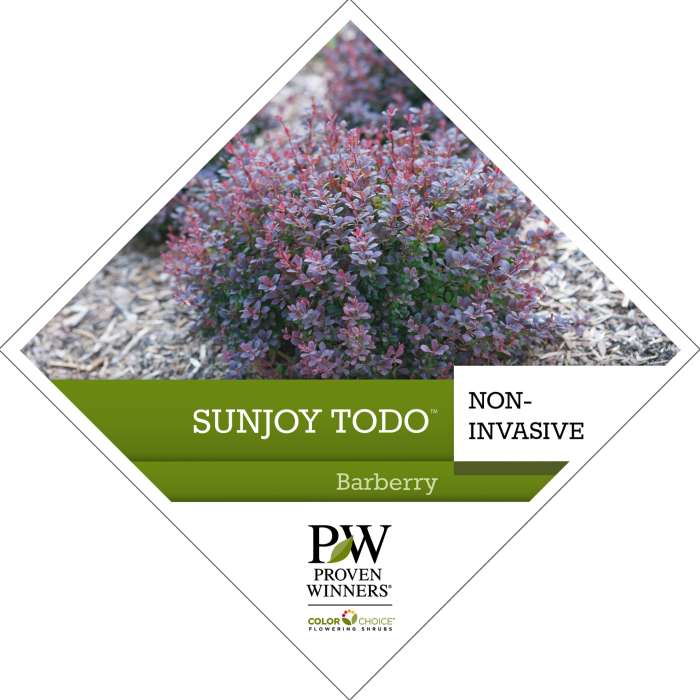 Preview of Sunjoy Todo® Berberis Tag PDF