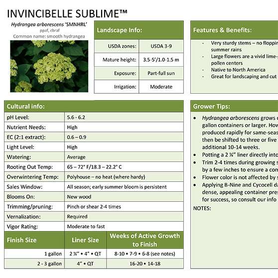 Preview of Invincibelle Sublime™ Hydrangea Grower Sheet PDF