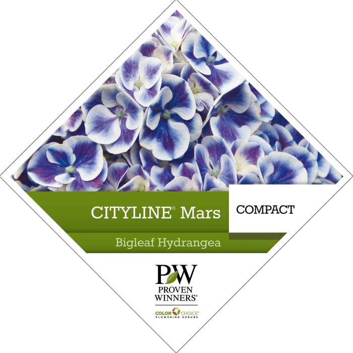 Preview of Cityline® Mars Hydrangea Tag PDF