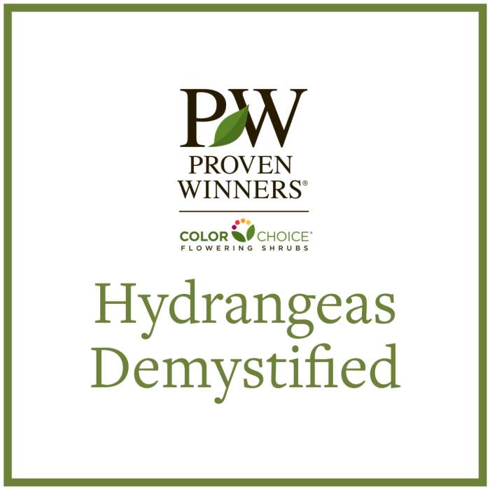 Preview of Hydrangeas Demystified PDF
