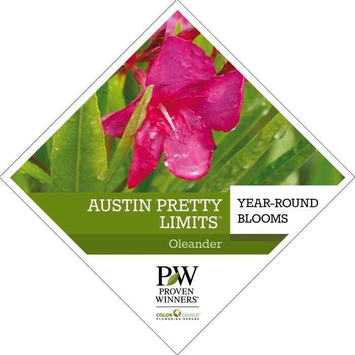 Preview of Austin Pretty Limits® Nerium tag PDF