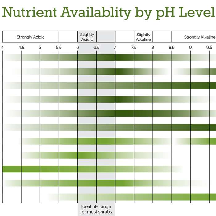 Preview of Nutrient Availability by pH Level PDF