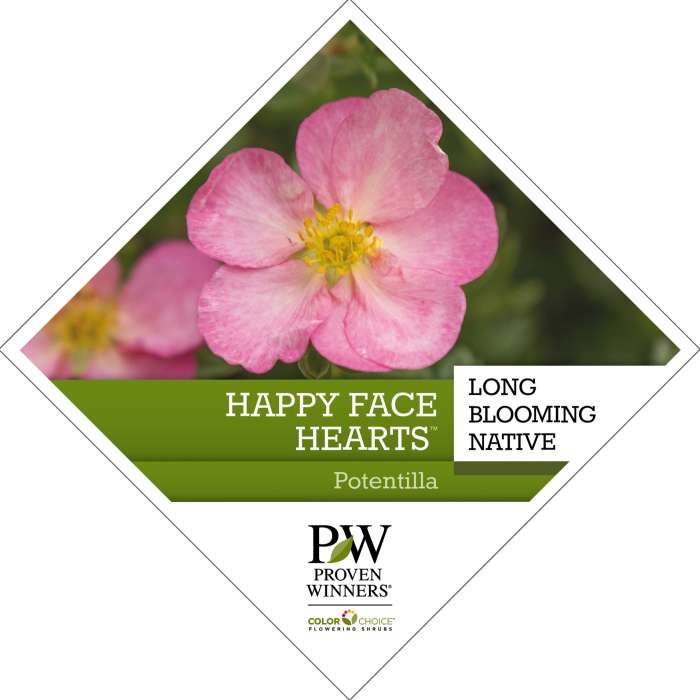 Preview of Happy Face Hearts® Potentilla Tag PDF