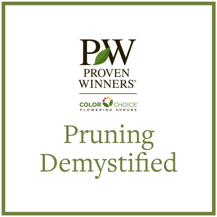 Preview of Pruning Demystified PDF
