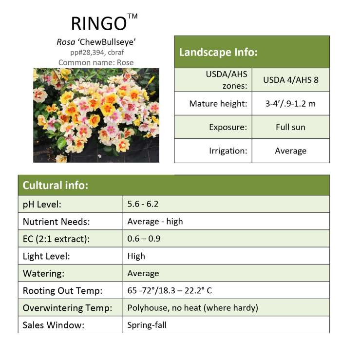 Preview of Ringo™ Rose Grower Sheet PDF