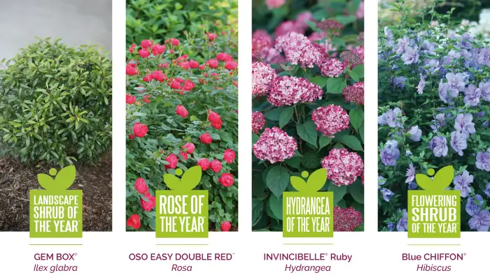 2020 Shrubs of the Year Grower’s Guide - Spring Meadow Nursery