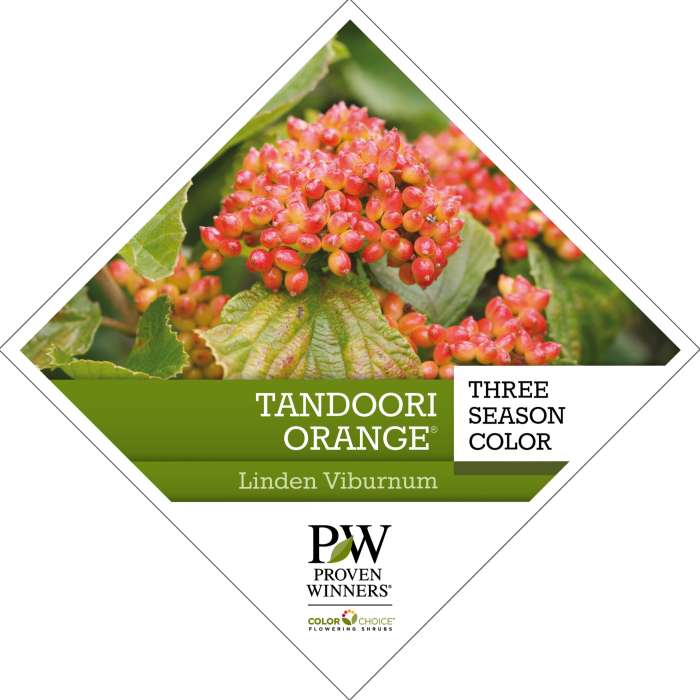 Preview of Tandoori Orange® Viburnum Tag PDF