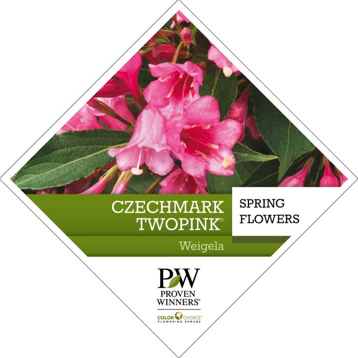 Preview of Czechmark Twopink® Weigela Tag PDF