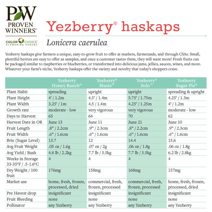 Preview of Farmer’s Guide to Yezberry Haskaps PDF