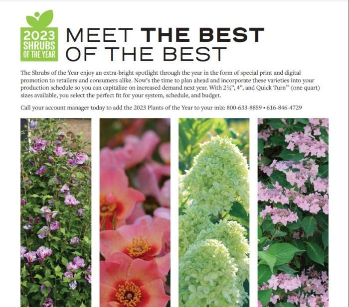 Preview of 2023 Shrubs of the Year Growing Guide PDF