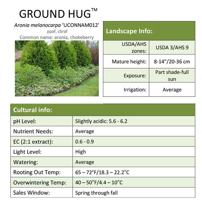 Preview of Ground Hug™ Aronia Grower Sheet PDF