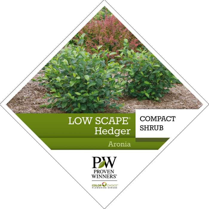 Preview of Low Scape Hedger® Aronia tag PDF