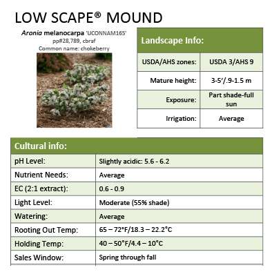 Preview of Low Scape Mound® Aronia grower sheet PDF