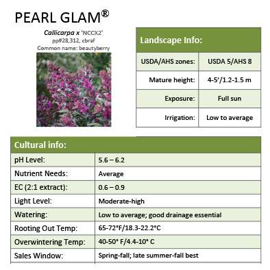 Preview of Pearl Glam® Callicarpa grower sheet PDF