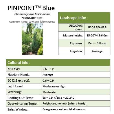 Preview of Pinpoint® Blue Chamaecyparis Grower Sheet PDF