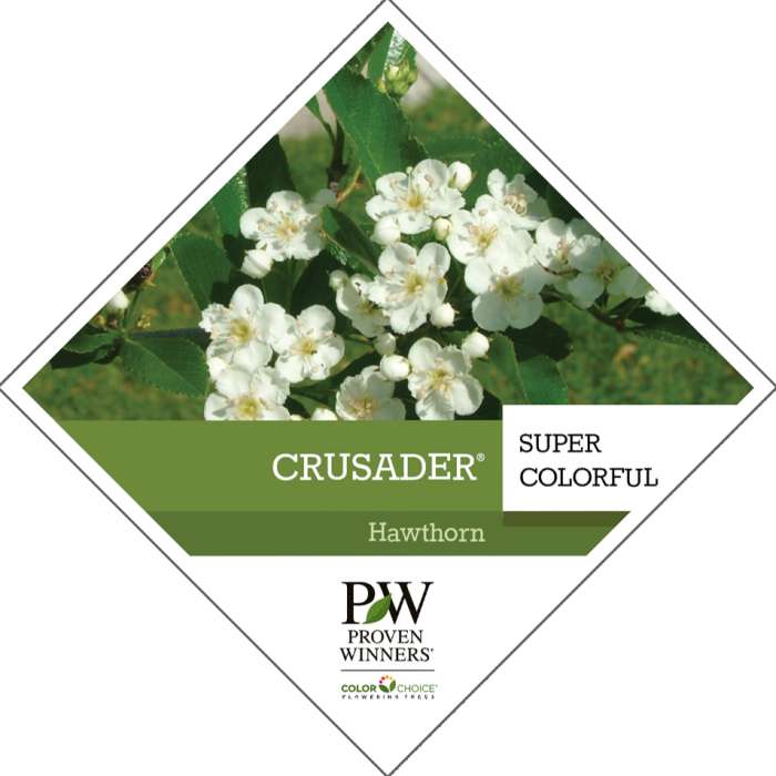 Preview of Crusader® Crataegus Tag PDF