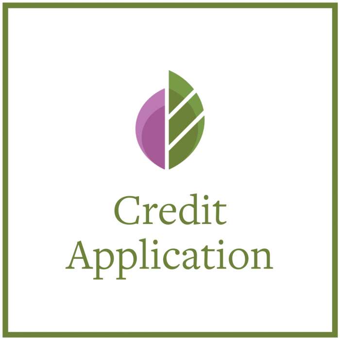 Preview of Credit Application PDF