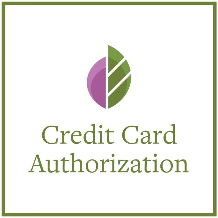 Preview of Credit Card Authorization Form PDF