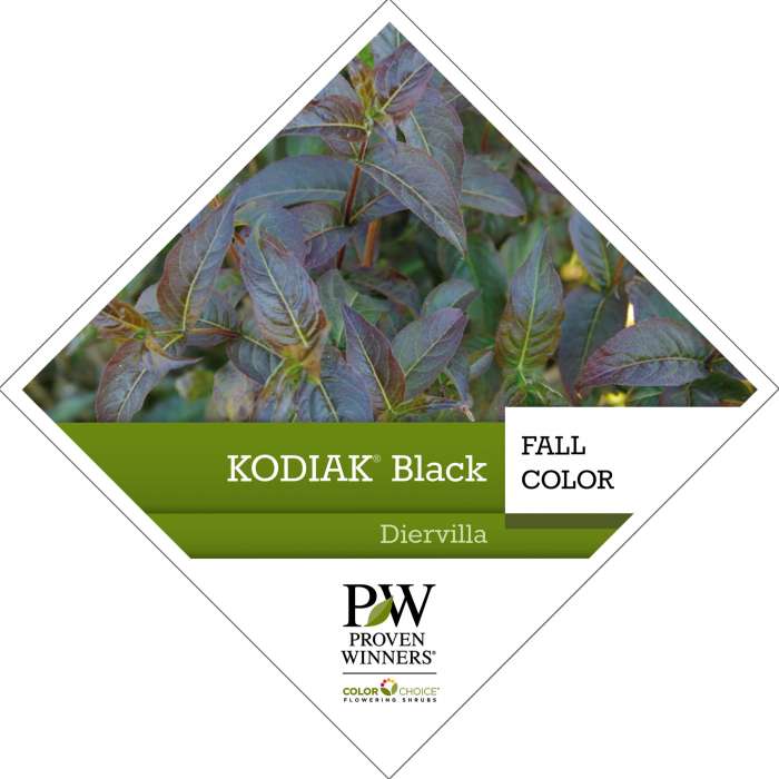Preview of Kodiak® Black Diervilla PDF