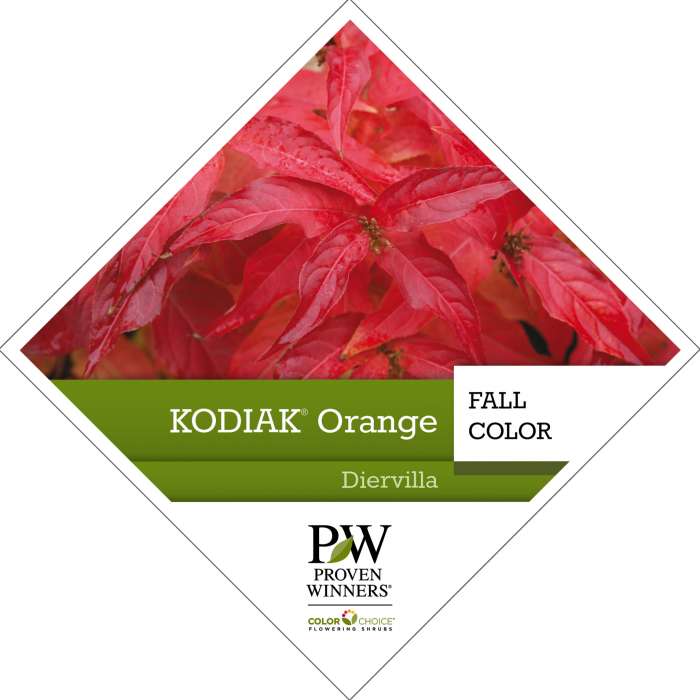 Preview of Kodiak® Orange Diervilla PDF