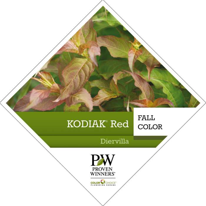 Preview of Kodiak® Red Diervilla PDF