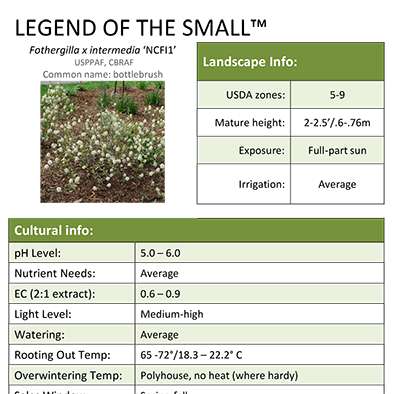 Preview of Legend Of The Small® Grower Sheet PDF