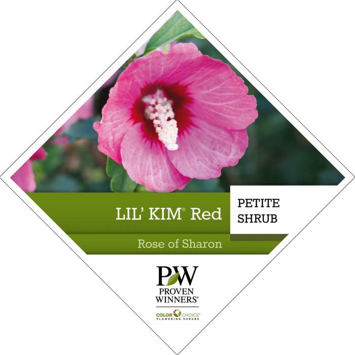 Preview of Lil’ Kim® Red Hibiscus tag PDF