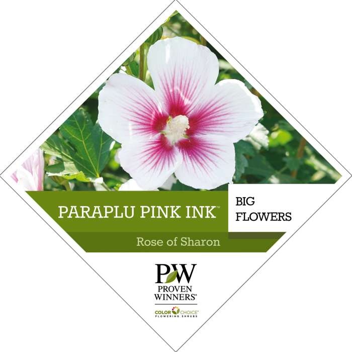 Preview of Paraplu Pink Ink® Hibiscus tag PDF